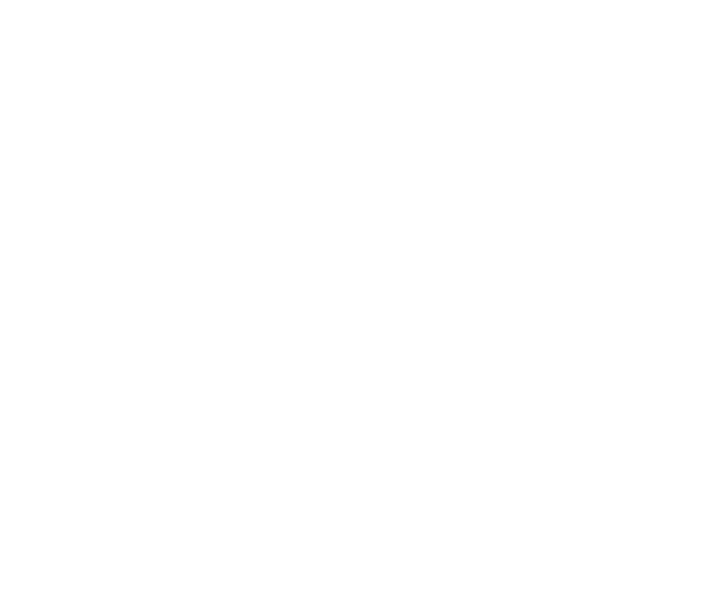 Deneos_Logo_blanc