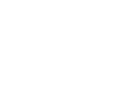 logo_phoenix studio
