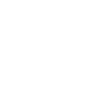 International-pastille-pegases-winner-3-ans copie